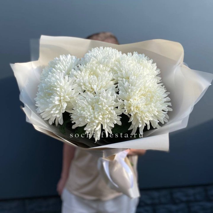 Профитроли в Туле