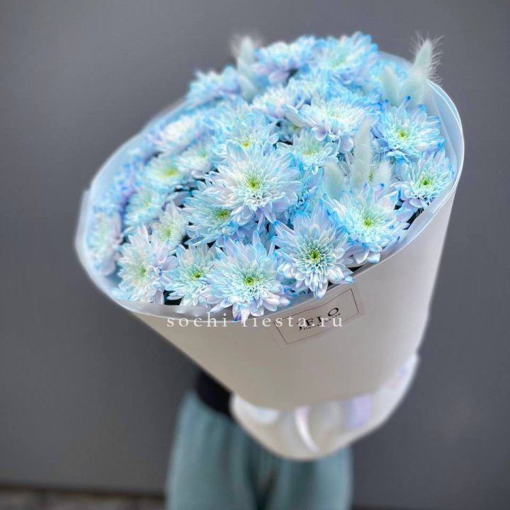  Букет нежно-голубых хризантем  в Туле