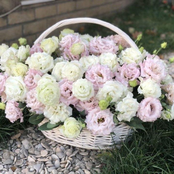 Корзина с эустомой в Туле