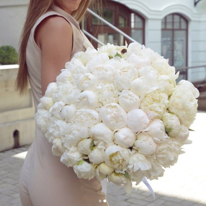 51 белый пион в Туле