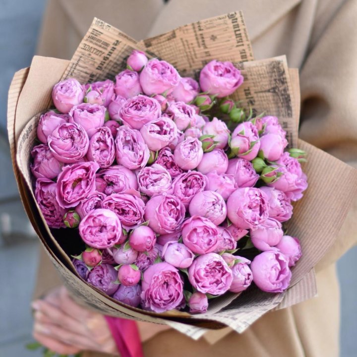 Роза Мисти Баблс в Туле