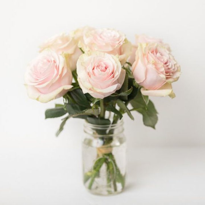 7 кремовых роз в Туле