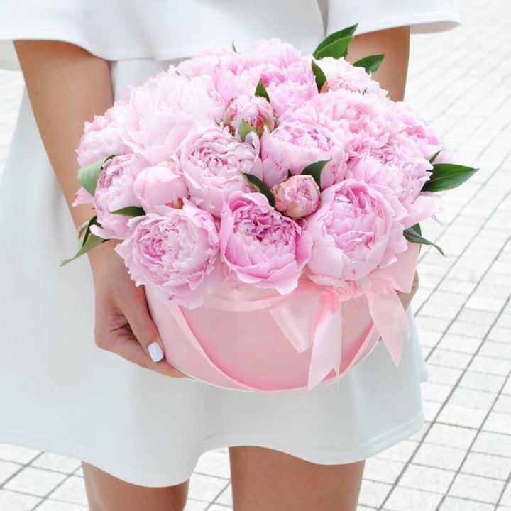 Пионы в шляпной коробке в Туле