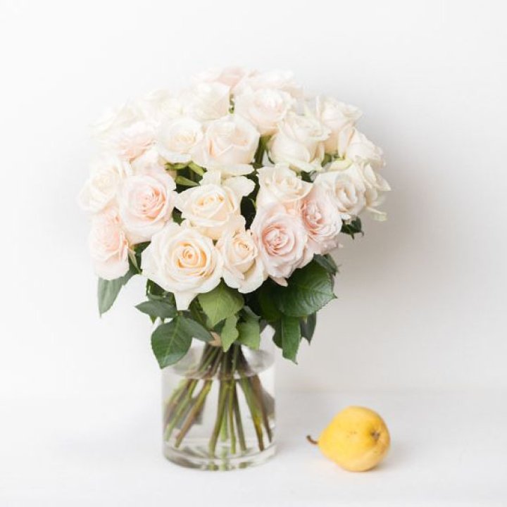 25 кремовых роз в Туле