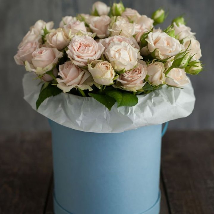 Бокс с бомбастиком в Туле