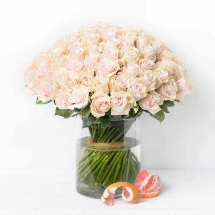 101 кремовая роза в Туле