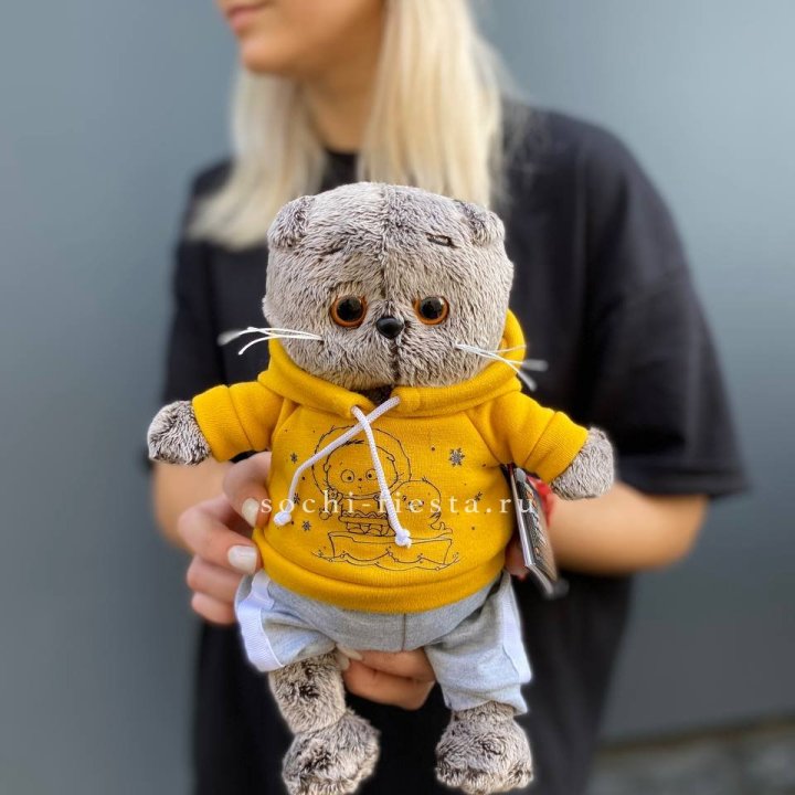 Кот Басик в худи в Туле