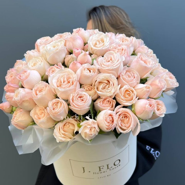 Бомбастик бокс Премьер в Туле