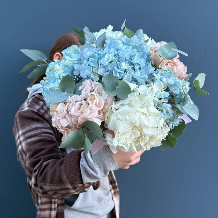 Гортензии в коробочке в Туле