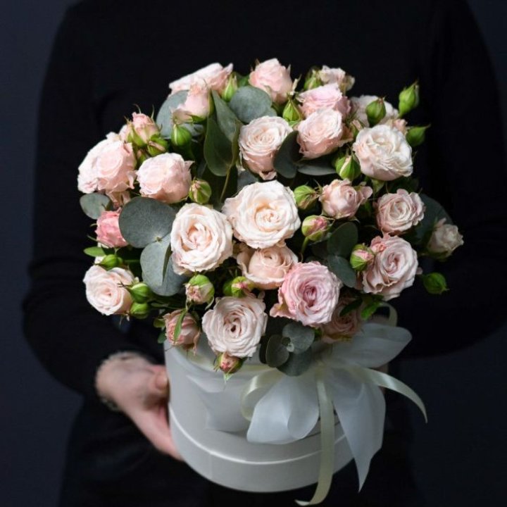 Бомбастик бокс №2 в Туле