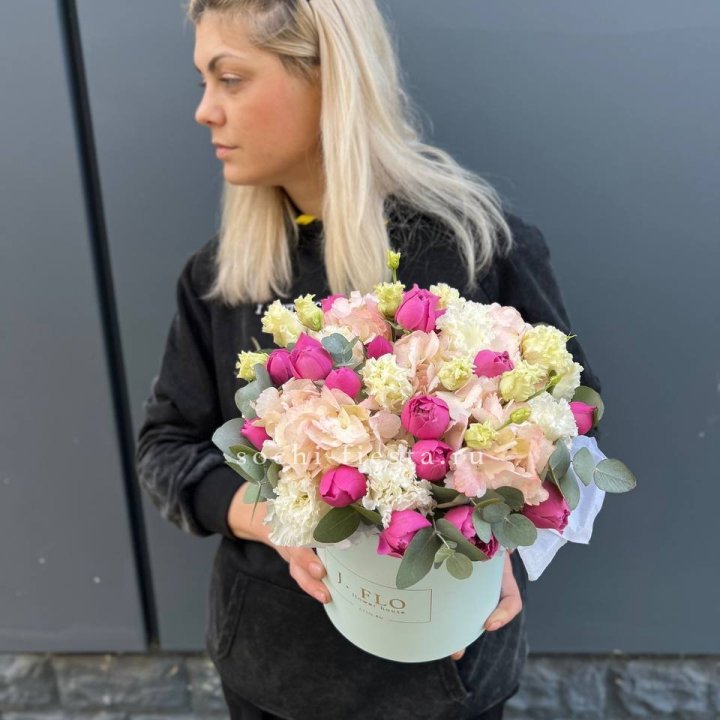 Сборный бокс премьер в Туле