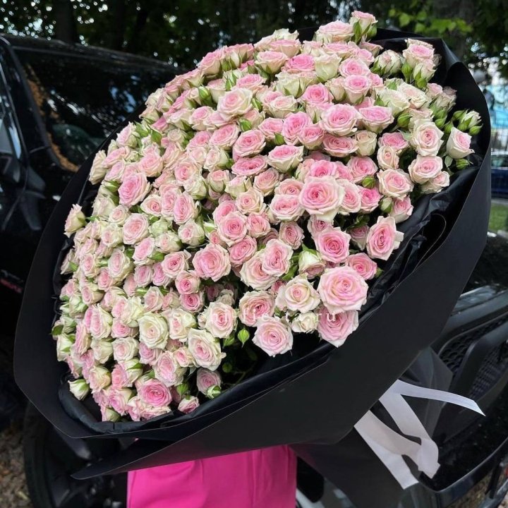 101 кустовая роза "Твистер" в Туле