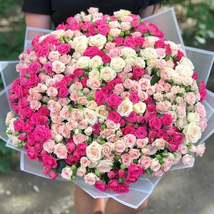 101 кустовая роза в Туле