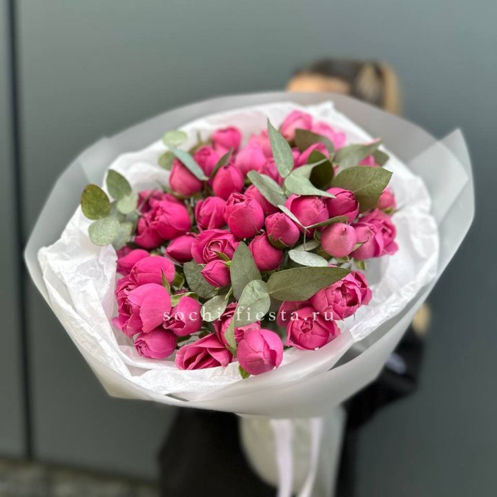 17 Мисти бабблс в Туле