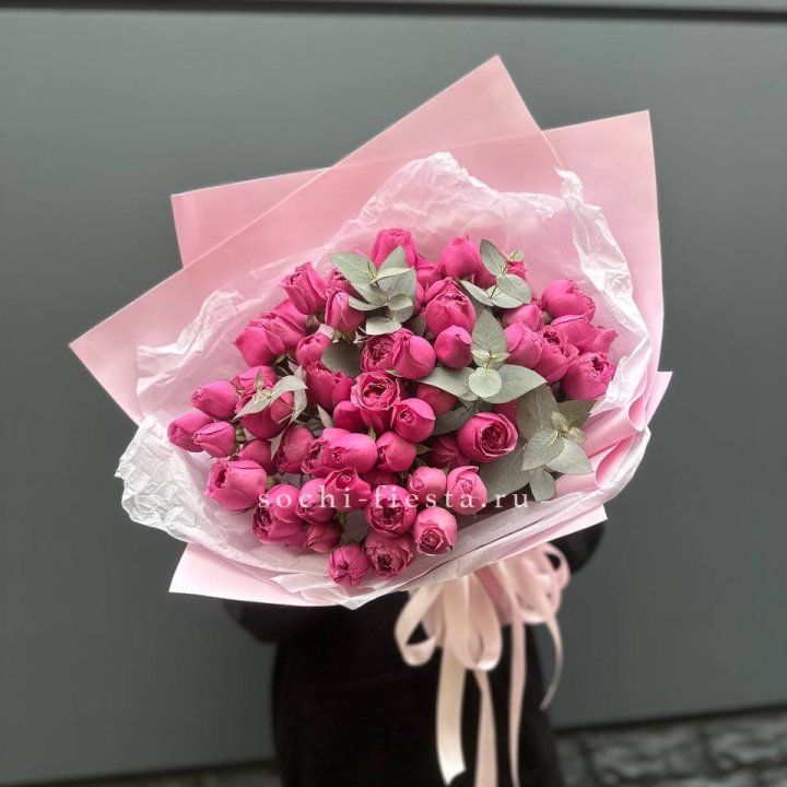 25 Мисти бабблс в Туле