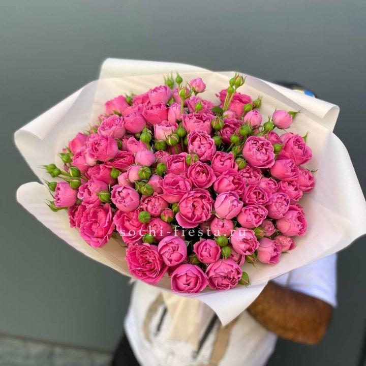 Мисти Баблс 35шт в Туле