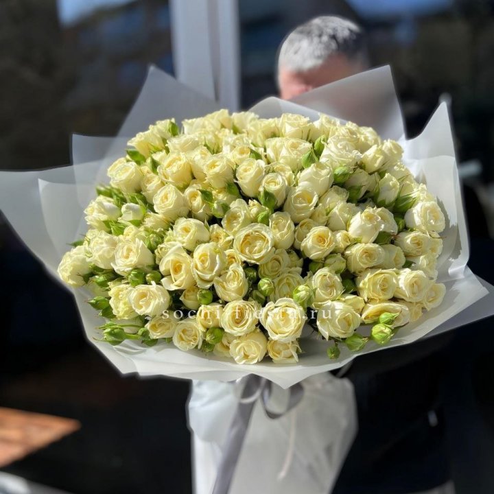 Белые кустовые розы 31 шт в Туле