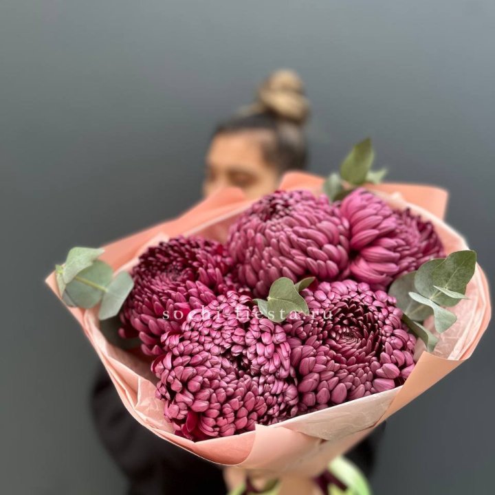 Хризантемы  Бигуди  в Туле