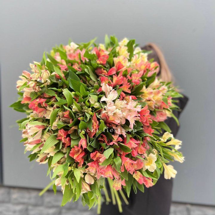 51 альстромерия в Туле