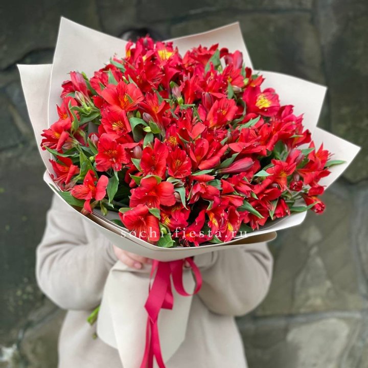 51 альстромерия в Туле