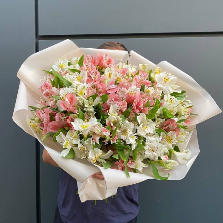 39 альстромерий в Туле