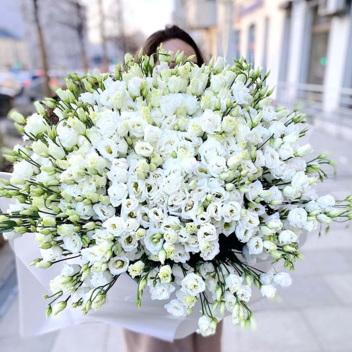 101 белая эустома в Туле