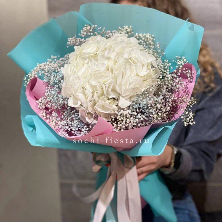 Гортензия "Райдов" в Туле