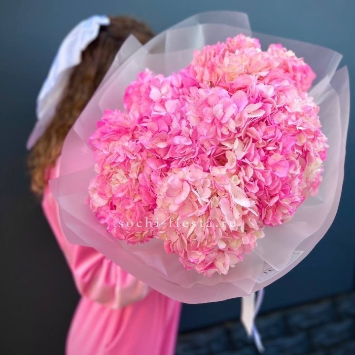 7 ярко розовых гортензий в Туле