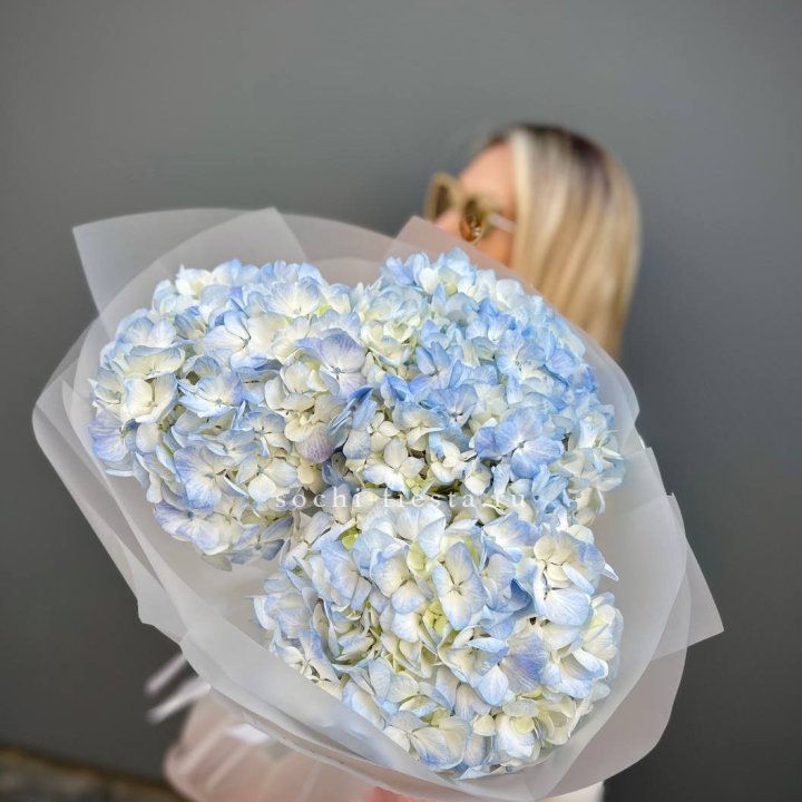 Букет из 3 голубых гортензий  в Туле