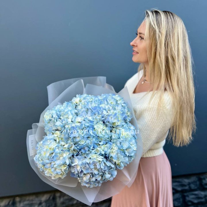 7 голубых гортензий в Туле