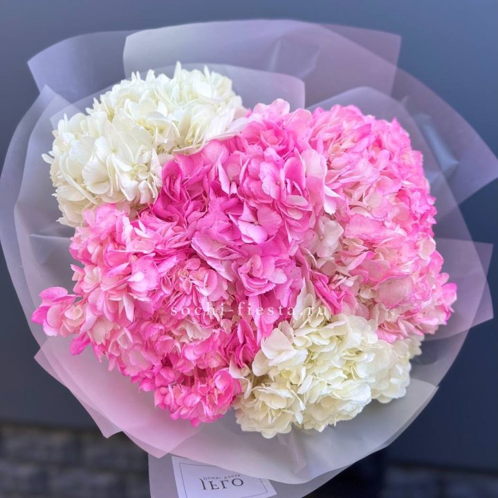 5 бело-розовых гортензий в Туле