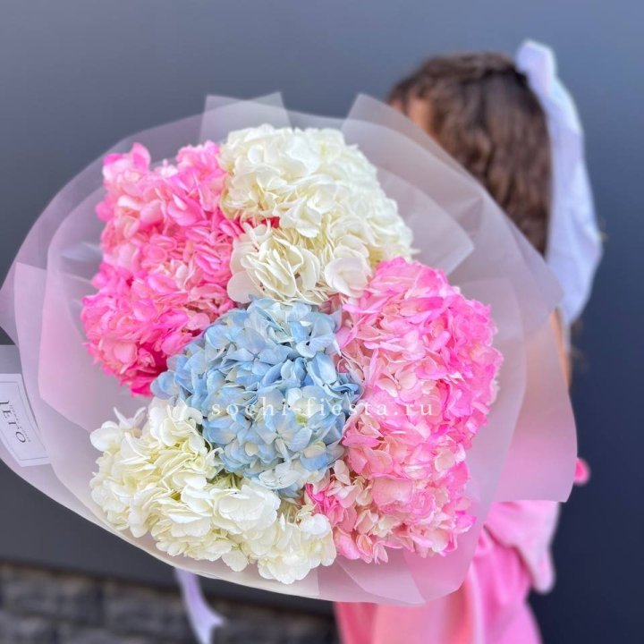 7 гортензий микс в Туле