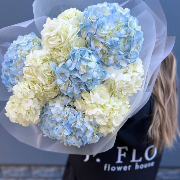 9 бело-голубых гортензий в Туле