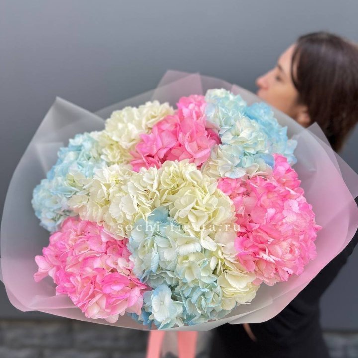 9 гортензий микс в Туле