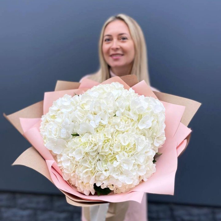 Гортензия белая в Туле