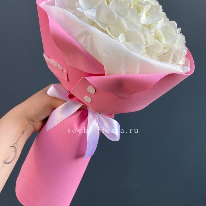 Гортензия в розовом пиджаке в Туле