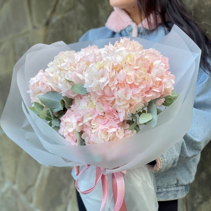 5 розовых гортензий в Туле