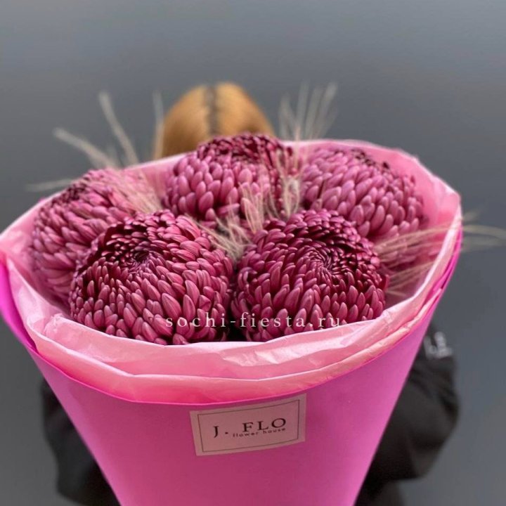 Хризантемы  Бигуди с стифой в Туле