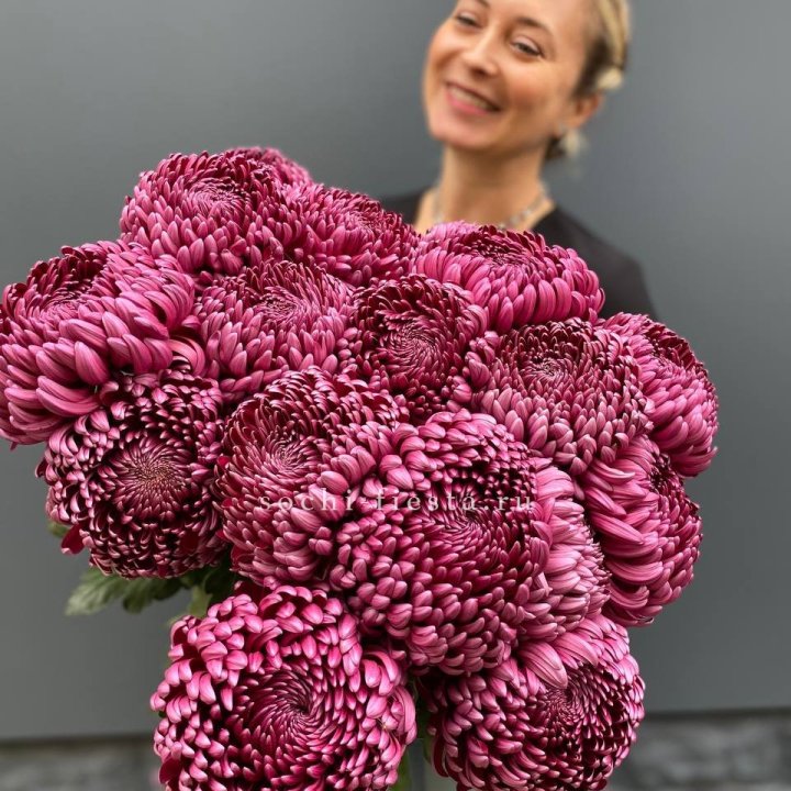 Охапка хризантем Бигуди в Туле