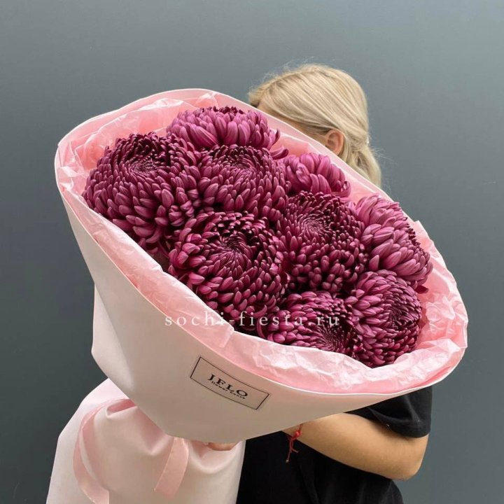 9 хризантем бигуди в Туле