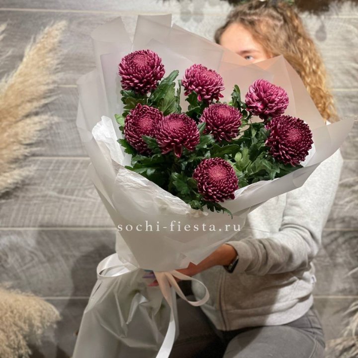 Хризантемы Бигуди в Туле