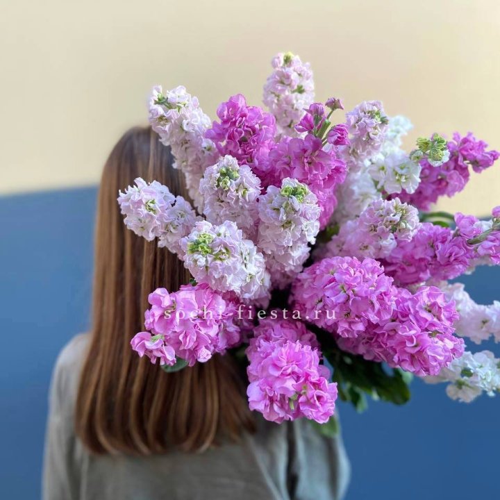 Охапка маттиолы в Туле