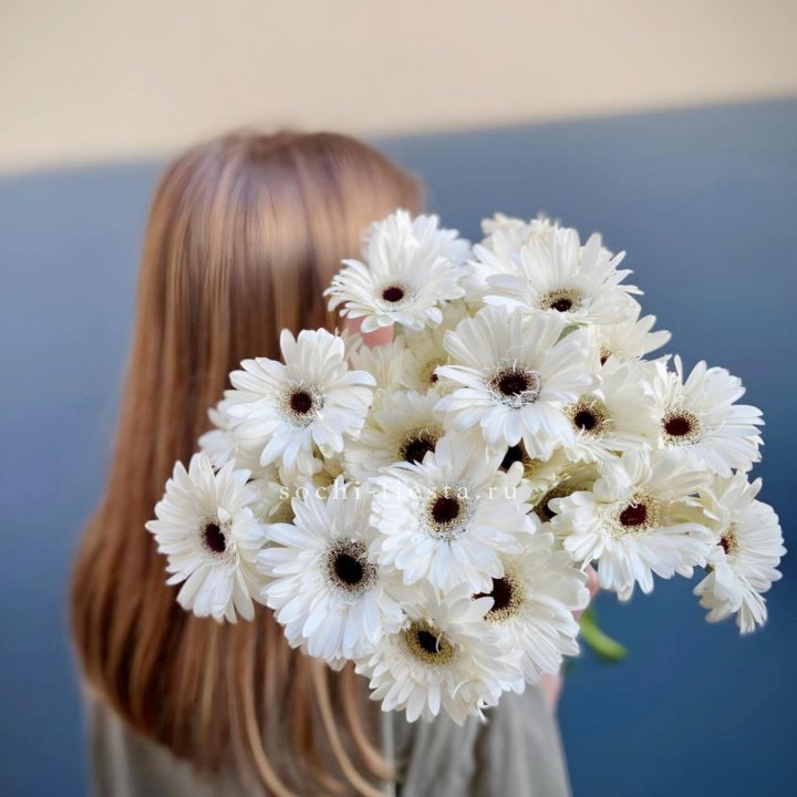 Охапка гербер в Туле