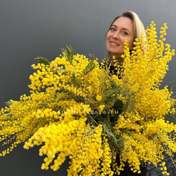 Охапка мимозы №2 в Туле