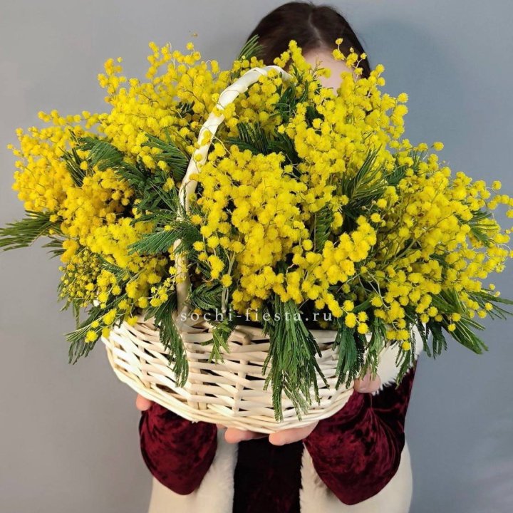 Корзина ароматной мимозы в Туле