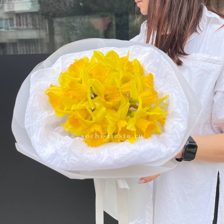 Нарциссы 25 шт в Туле