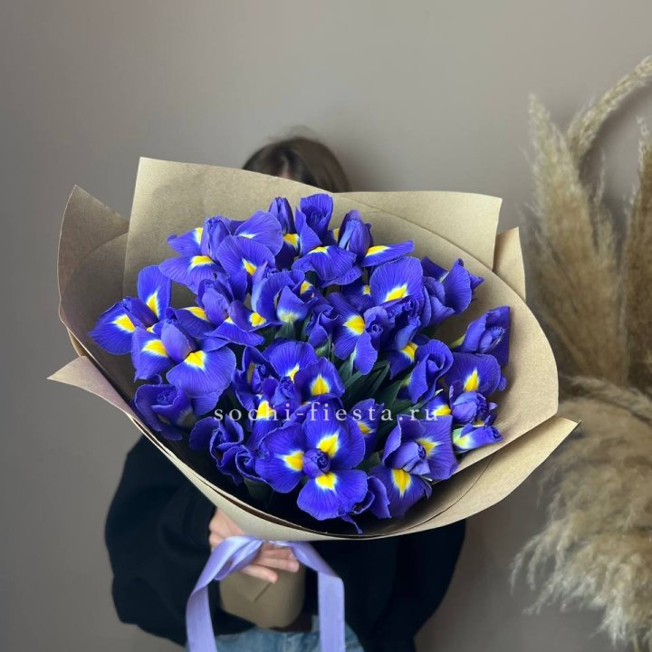 Ирисы в Туле