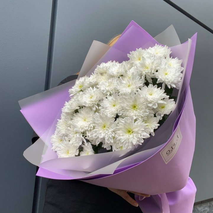  7 хризантем  в Туле