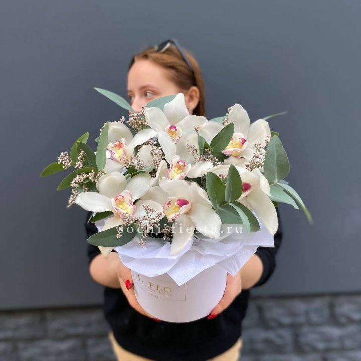 7 орхидей в боксе в Туле