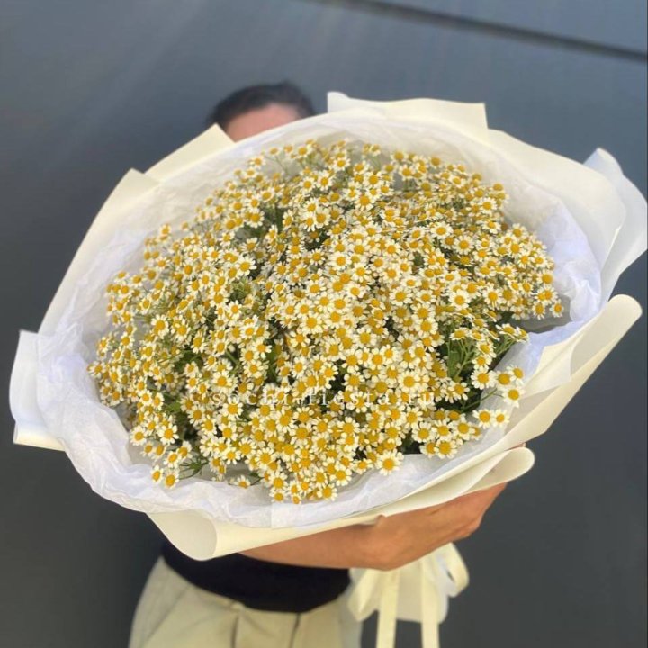 Букет ромашек №2 в Туле